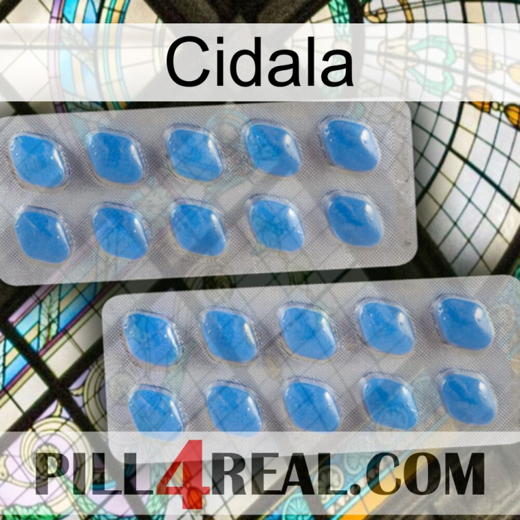 Cidala 23